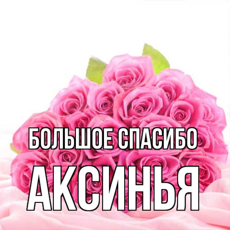 Картинка Большое спасибо, Аксинья