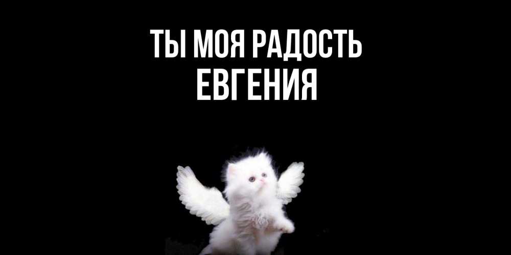 Открытка на каждый день с именем, Евгения Ты моя радость Кот ангел Прикольная открытка с пожеланием онлайн скачать бесплатно 