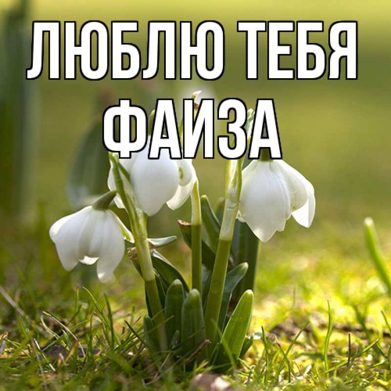 Открытка с именем, Фаиза, Люблю тебя