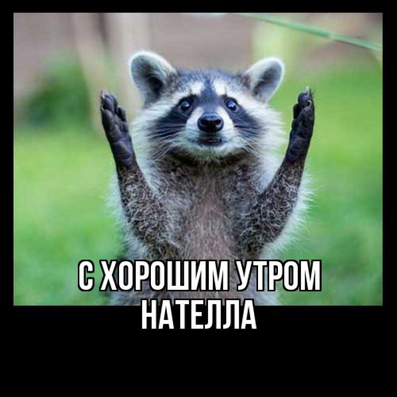 Картинка С хорошим утром, Нателла