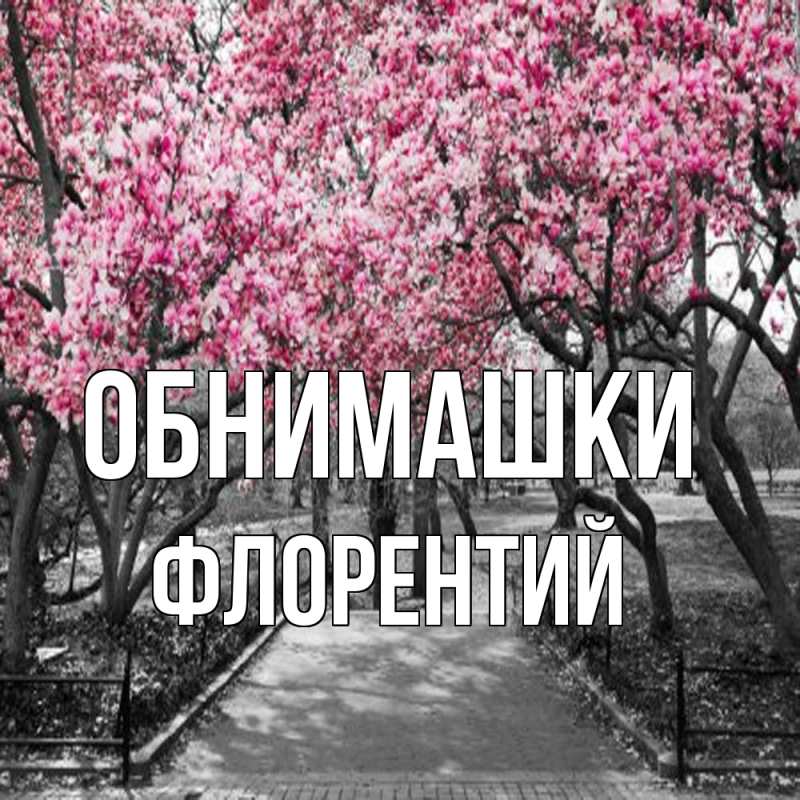 Картинка Обнимашки, Флорентий