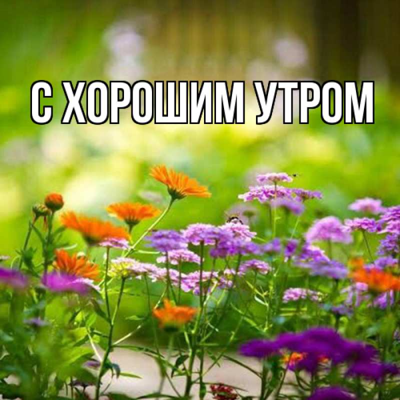 Картинка Люблю тебя, Иван