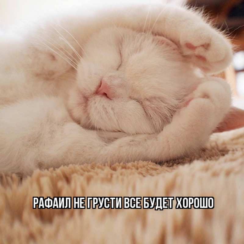 Открытка с именем, Рафаил, Не грусти, все будет хорошо