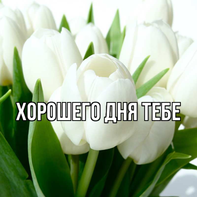 Картинка Люблю тебя, Густав