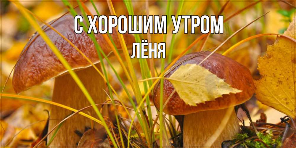 Открытка на каждый день с именем, Лёня С хорошим утром осенние грибы Прикольная открытка с пожеланием онлайн скачать бесплатно 