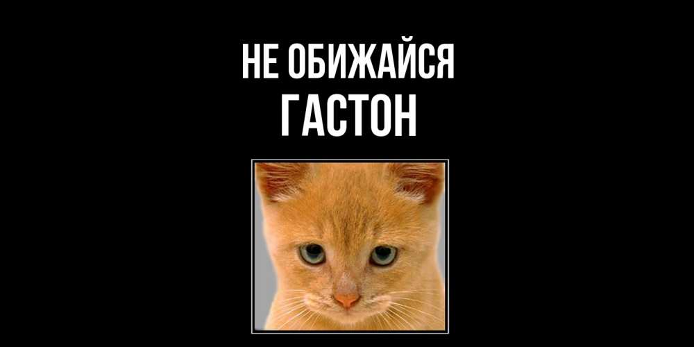 Открытка на каждый день с именем, Гастон Не обижайся рыжий грустный кот просит прощения Прикольная открытка с пожеланием онлайн скачать бесплатно 