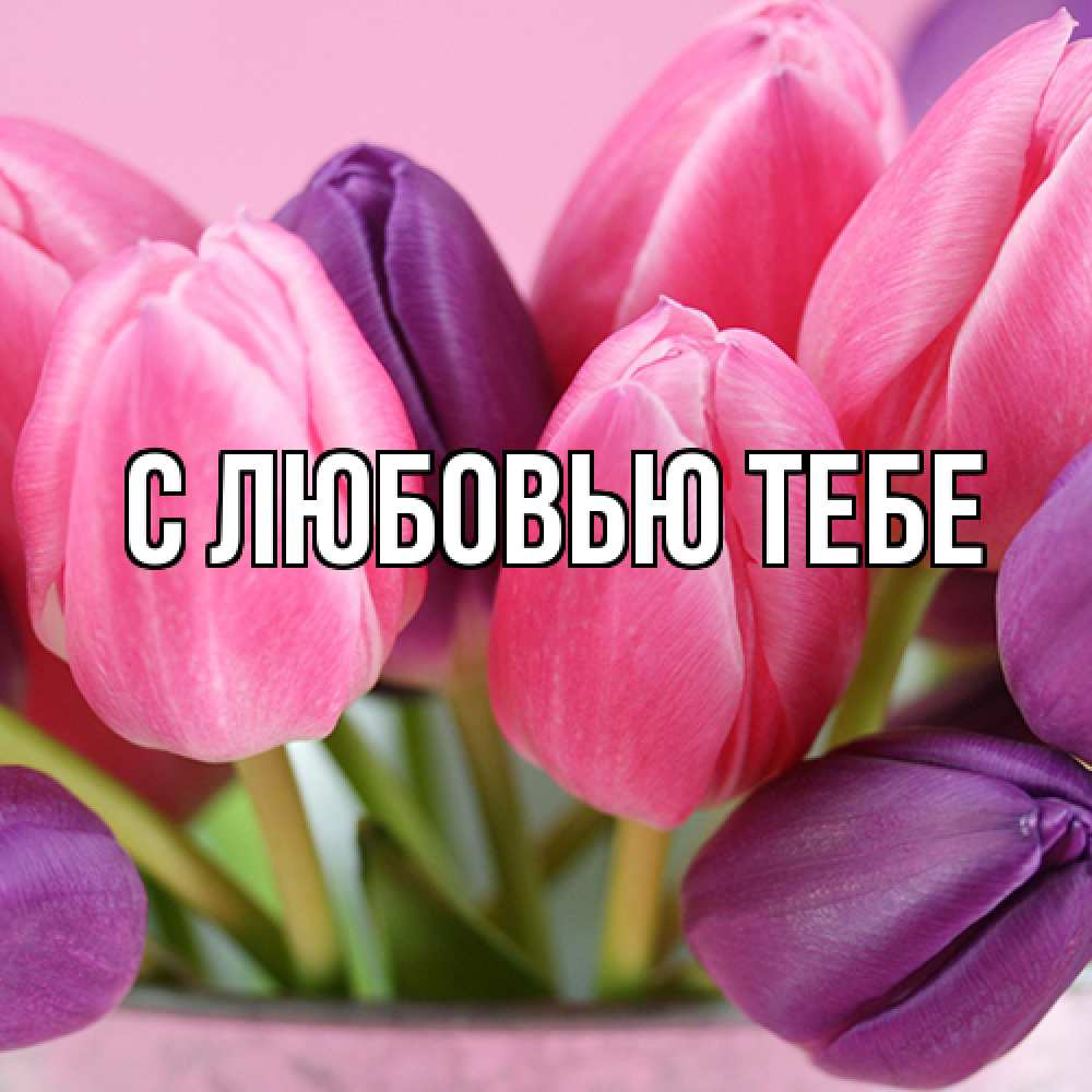 Открытка на каждый день с именем, Жан Люблю тебя маме 1 Прикольная открытка с пожеланием онлайн скачать бесплатно 