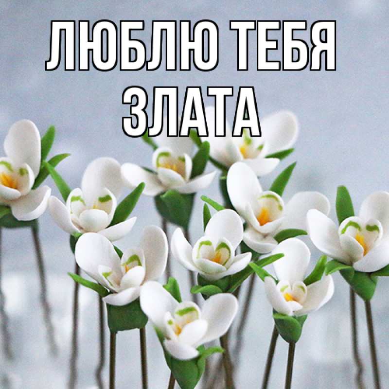 Открытка с именем, Злата, Люблю тебя