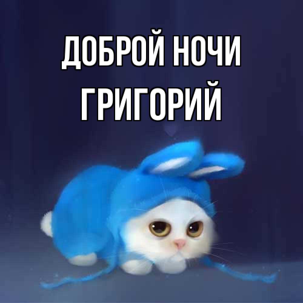 Открытка на каждый день с именем, Григорий Доброй ночи кот в голубом костюме кролика с ушками Прикольная открытка с пожеланием онлайн скачать бесплатно 