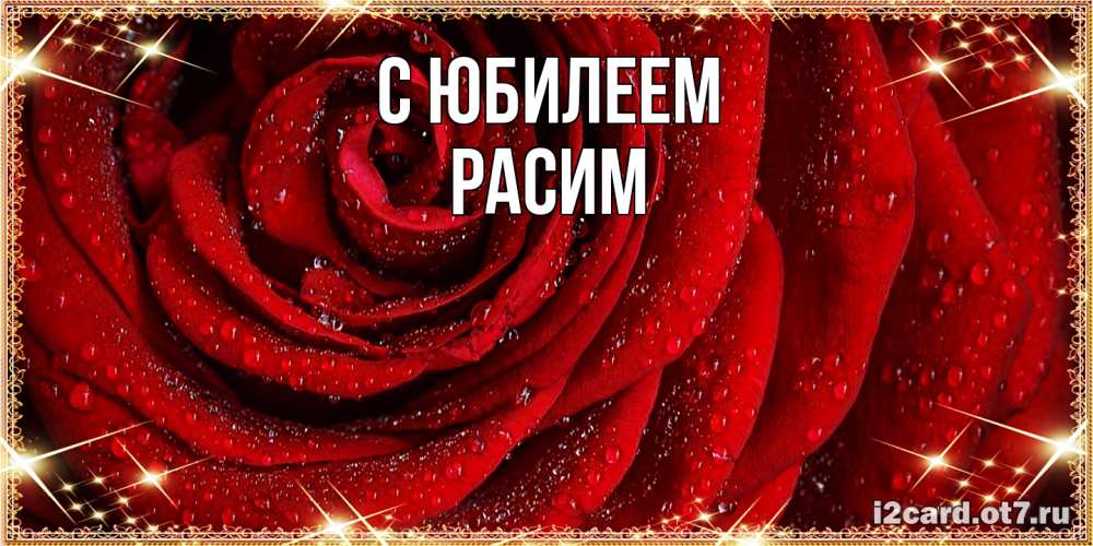 Открытка на каждый день с именем, Расим C юбилеем роса на розе блестящая в лучах солнца Прикольная открытка с пожеланием онлайн скачать бесплатно 