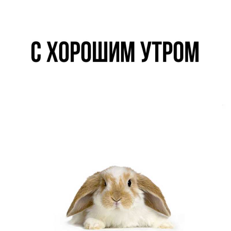 Картинка Удачи тебе, Ждан