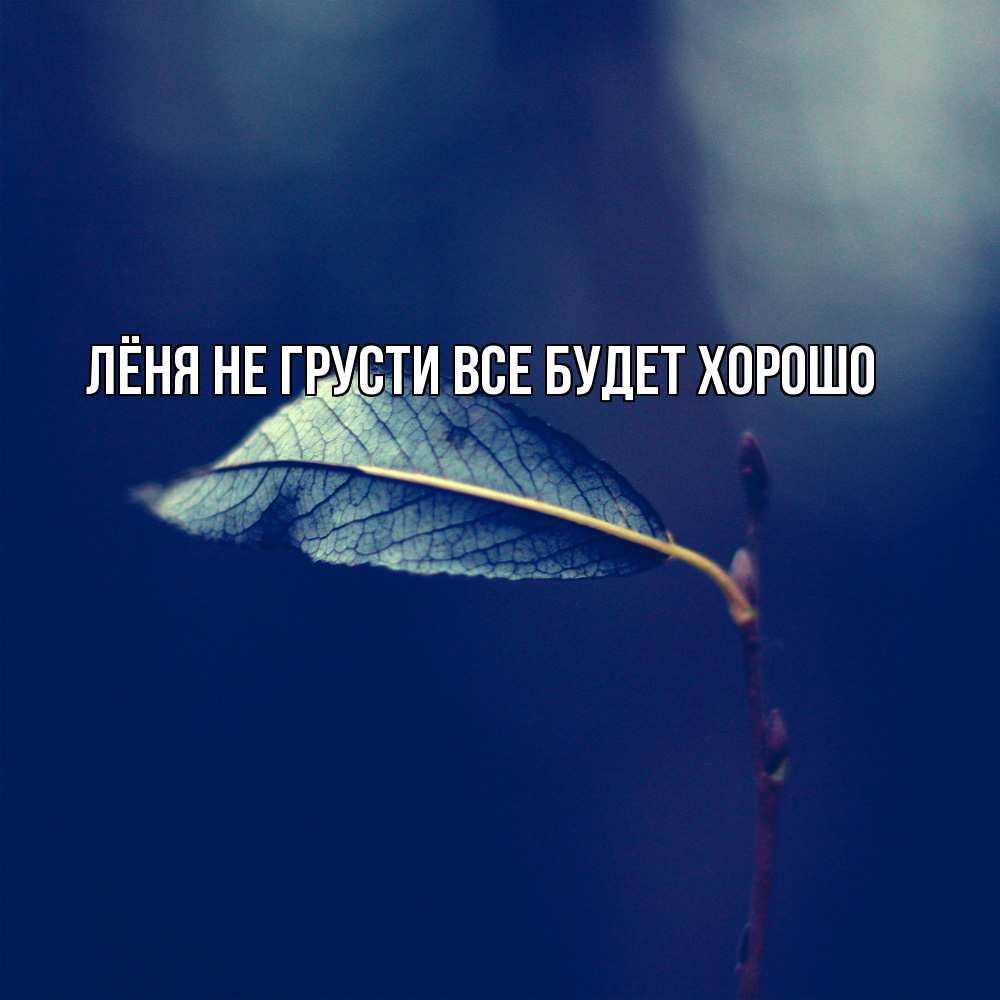 Открытка на каждый день с именем, Лёня Не грусти все будет хорошо растение Прикольная открытка с пожеланием онлайн скачать бесплатно 