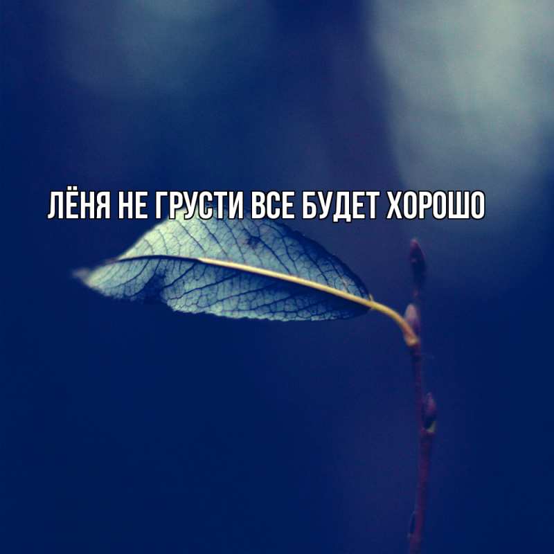 Картинка Не грусти, все будет хорошо, Лёня