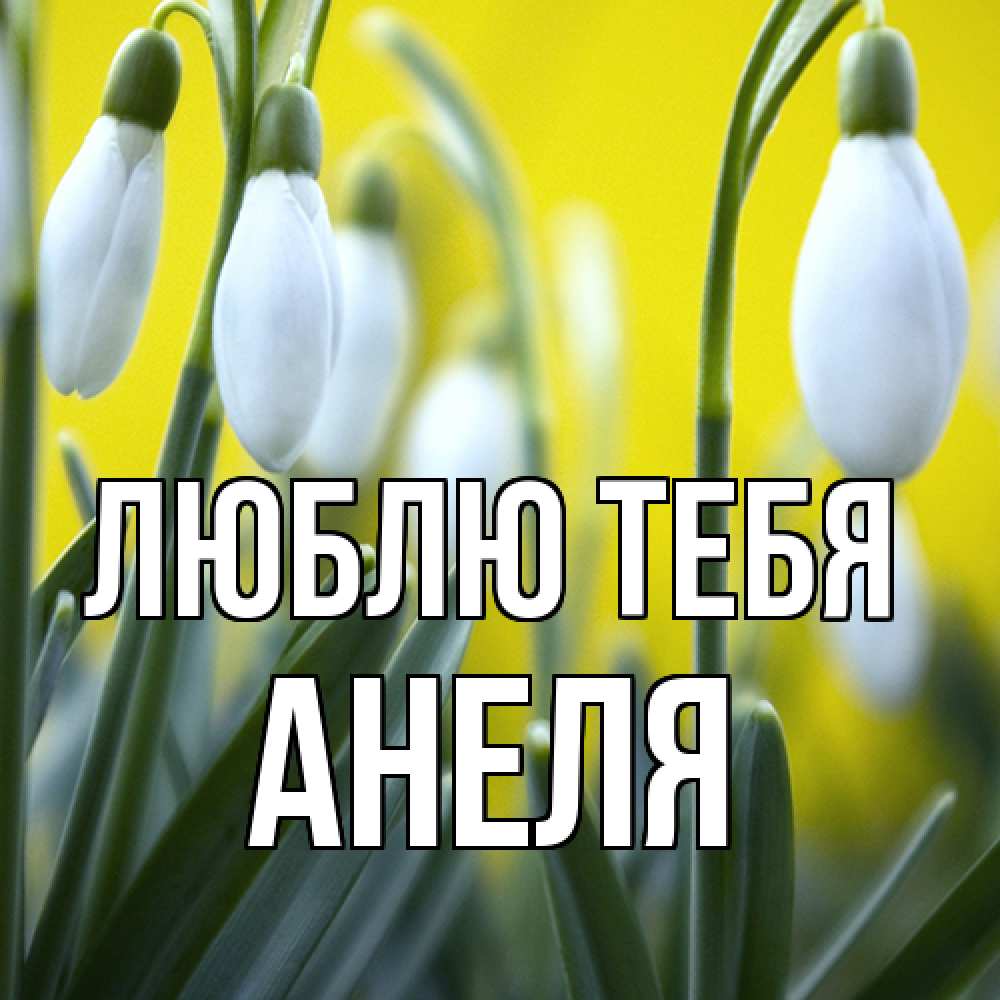 Открытка на каждый день с именем, Анеля Люблю тебя весенние цветы Прикольная открытка с пожеланием онлайн скачать бесплатно 