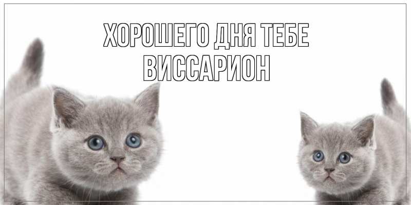 Картинка Хорошего дня тебе, Виссарион