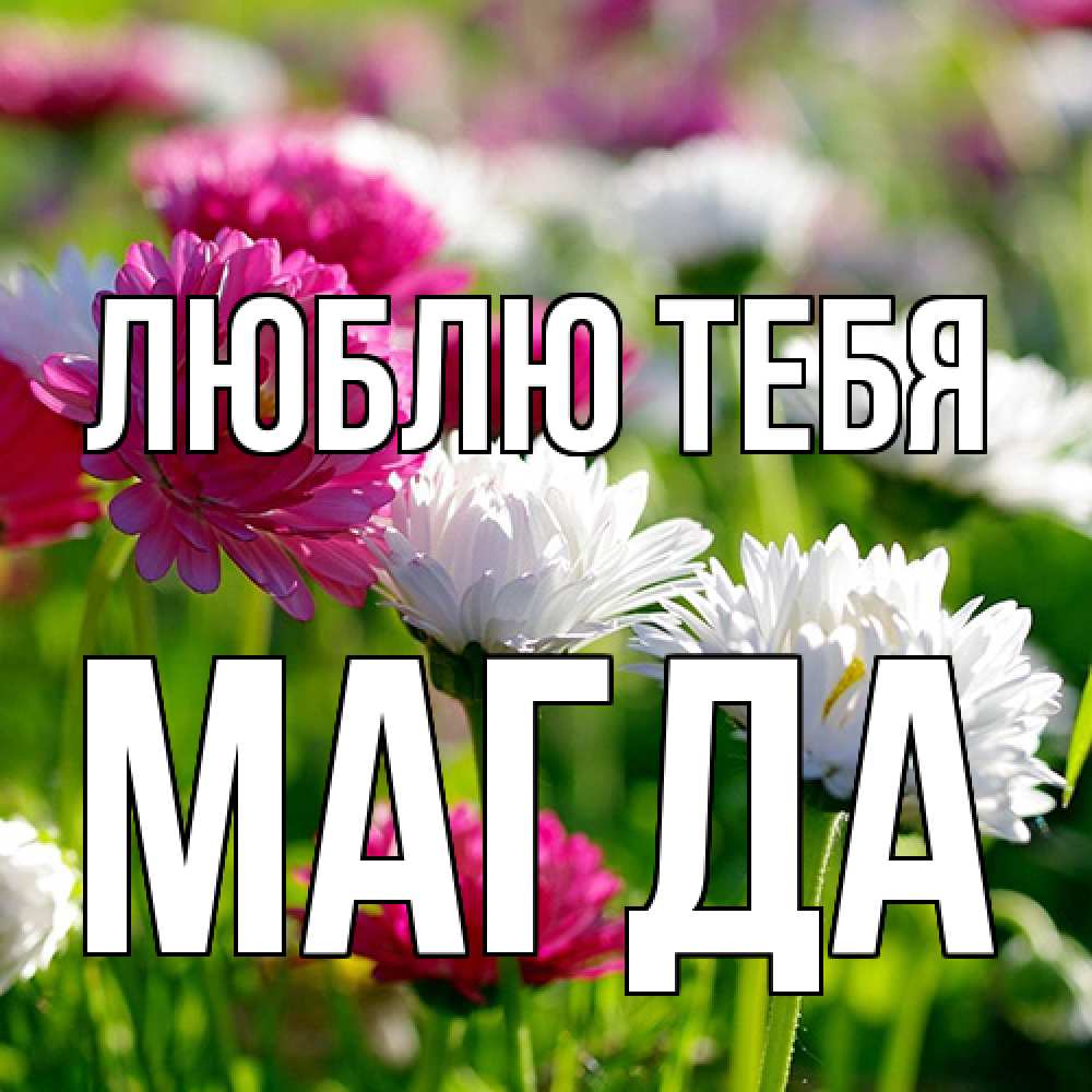 Открытка на каждый день с именем, Магда Люблю тебя международный женский день 1 Прикольная открытка с пожеланием онлайн скачать бесплатно 