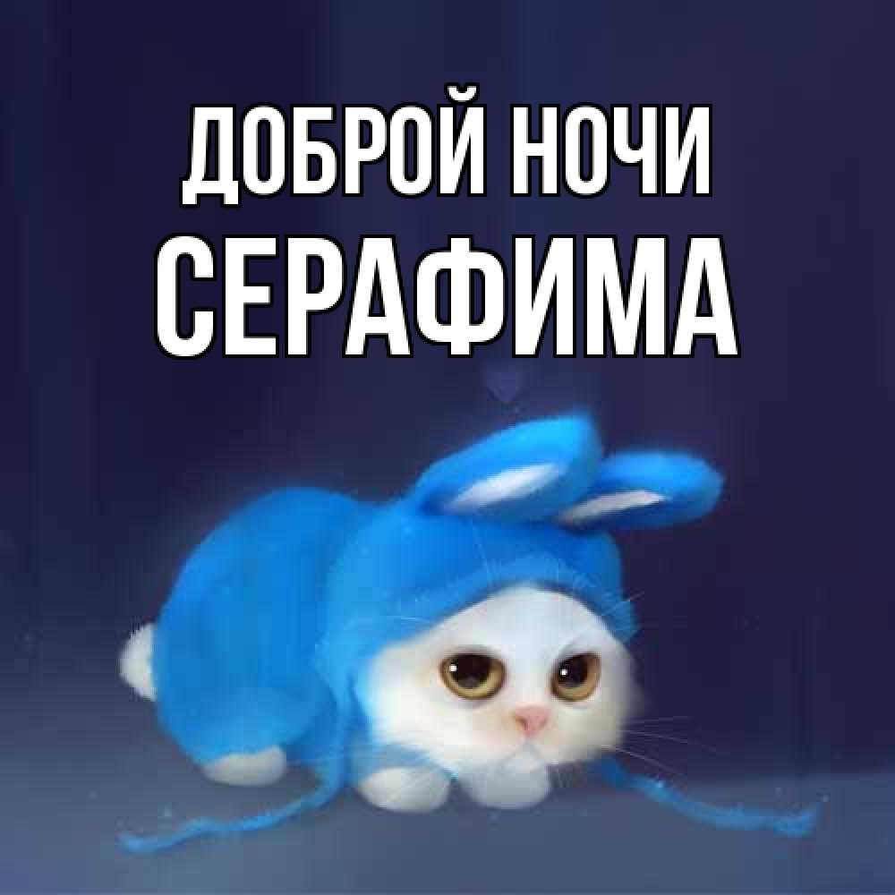 Открытка на каждый день с именем, Серафима Доброй ночи кот в голубом костюме кролика с ушками Прикольная открытка с пожеланием онлайн скачать бесплатно 