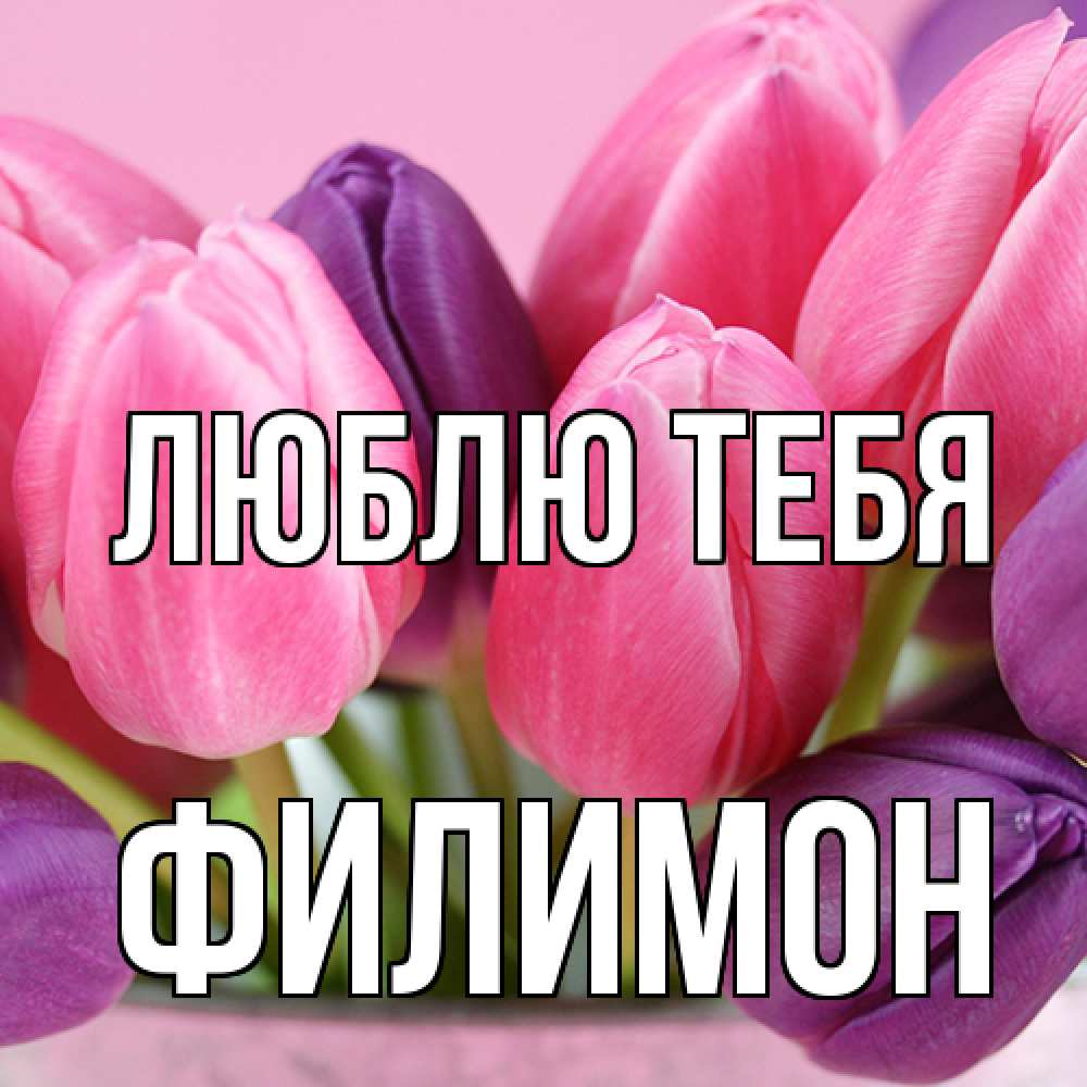 Открытка на каждый день с именем, Филимон Люблю тебя маме 1 Прикольная открытка с пожеланием онлайн скачать бесплатно 