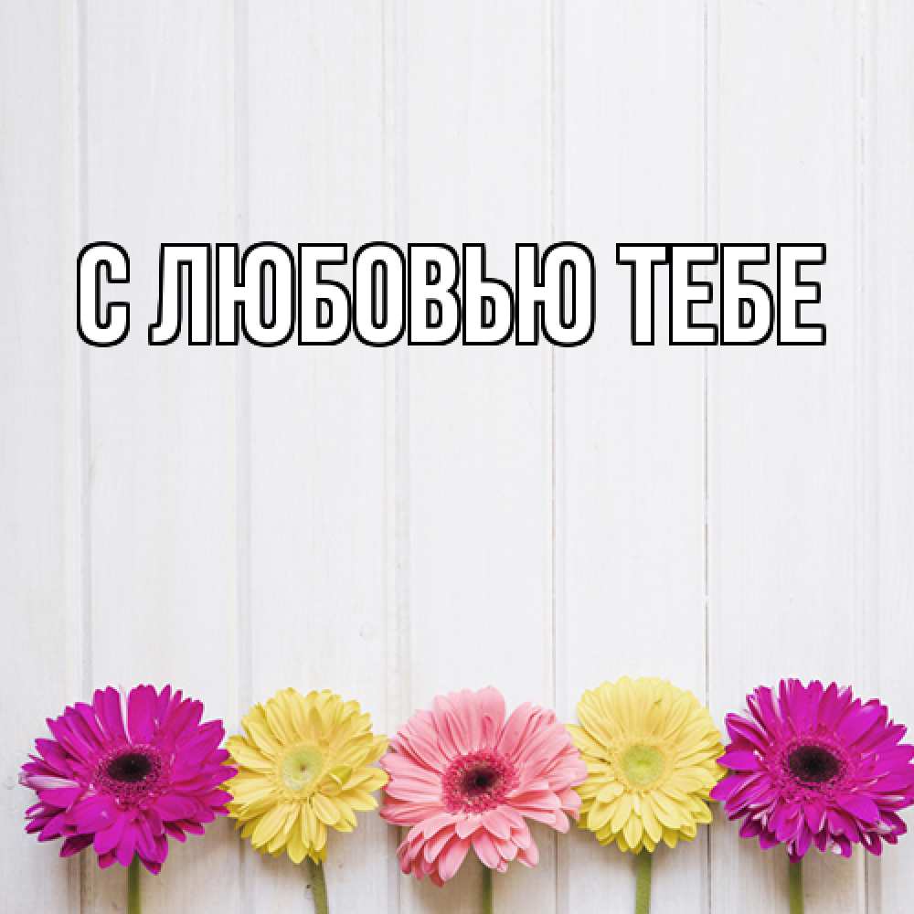 Открытка на каждый день с именем, Аза Люблю тебя женщинам 1 Прикольная открытка с пожеланием онлайн скачать бесплатно 