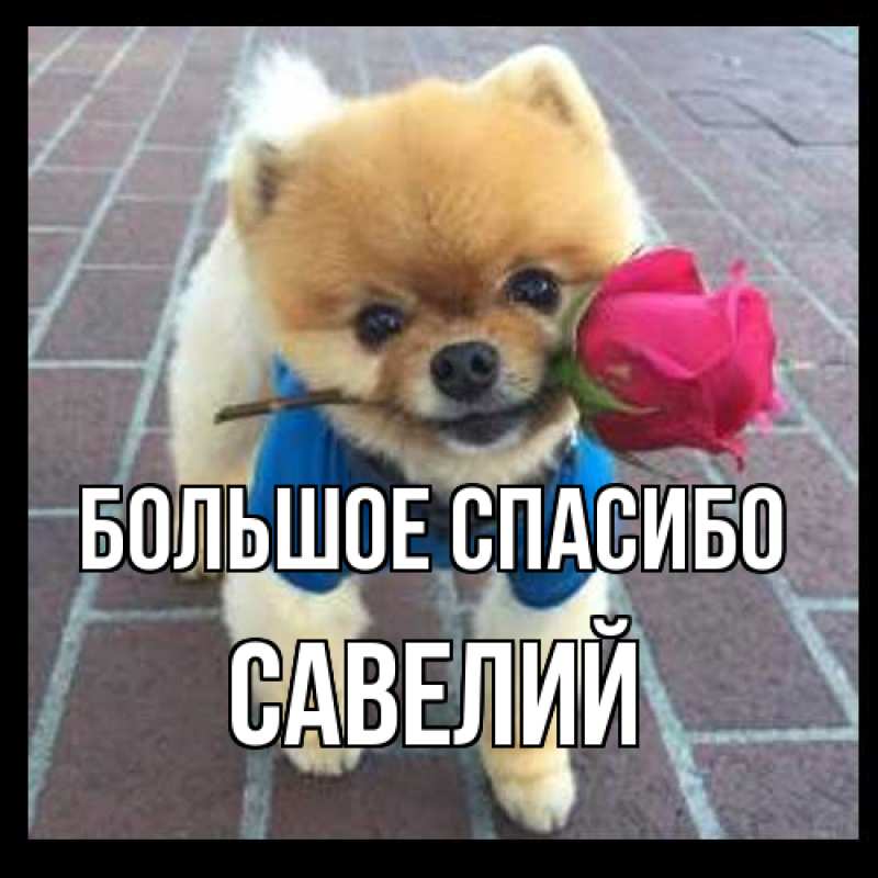 Открытка с именем, Савелий, Большое спасибо