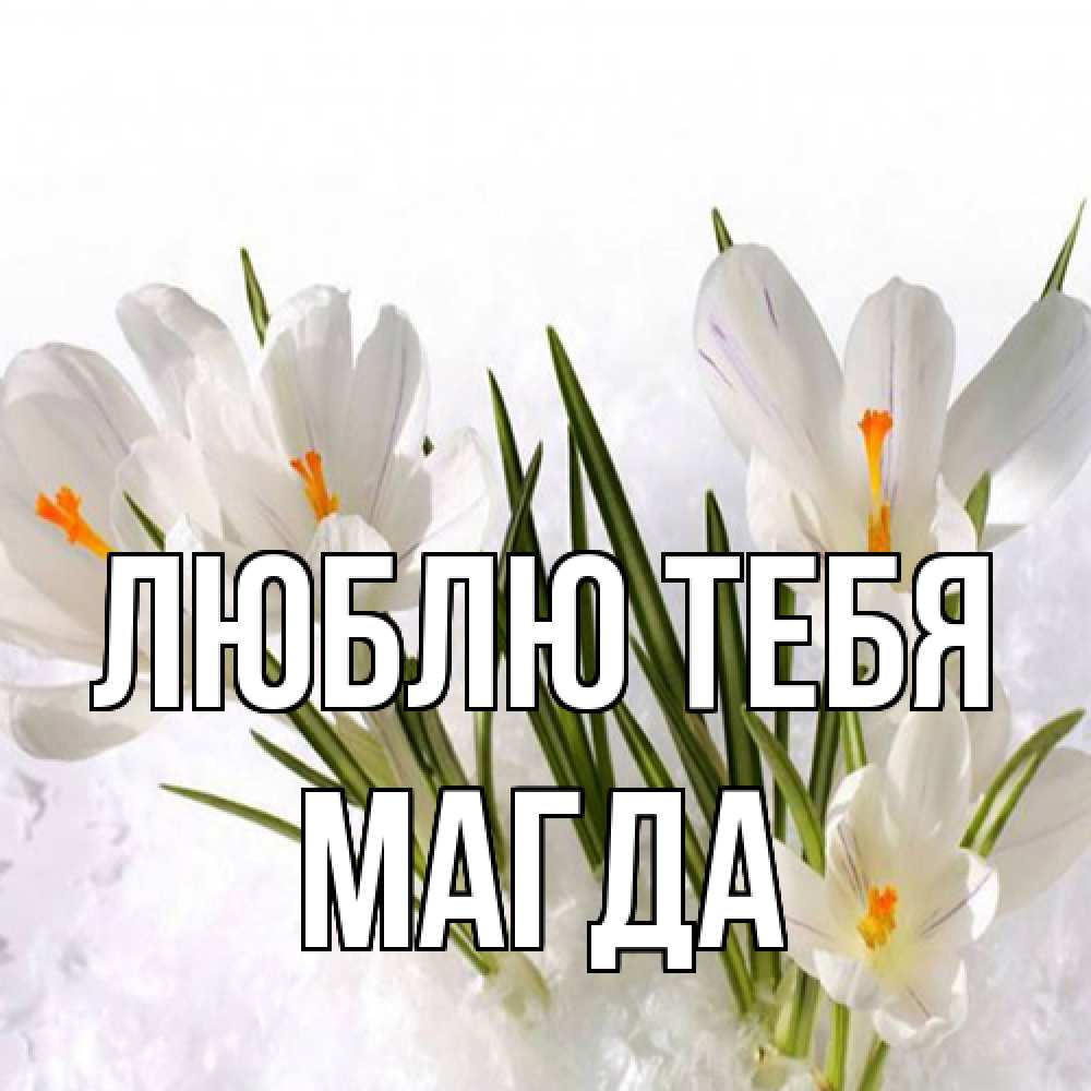 Открытка на каждый день с именем, Магда Люблю тебя под снегом Прикольная открытка с пожеланием онлайн скачать бесплатно 