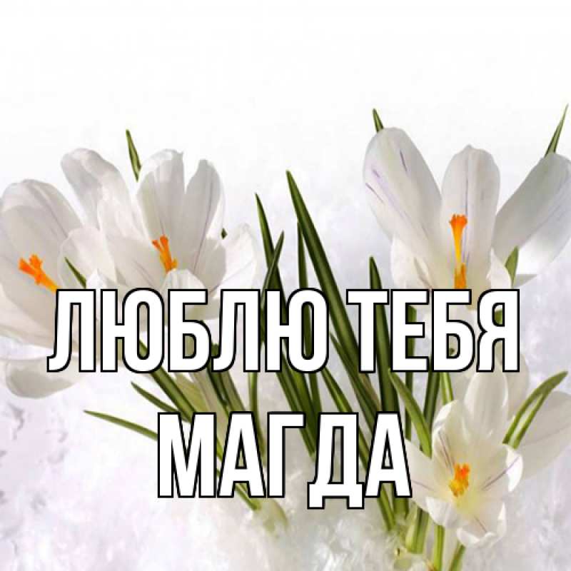 Картинка Люблю тебя, Магда