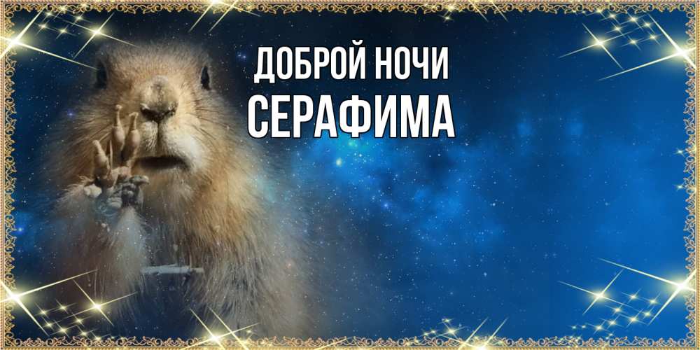 Открытка на каждый день с именем, Серафима Доброй ночи спокойной ночи сладких снов Прикольная открытка с пожеланием онлайн скачать бесплатно 