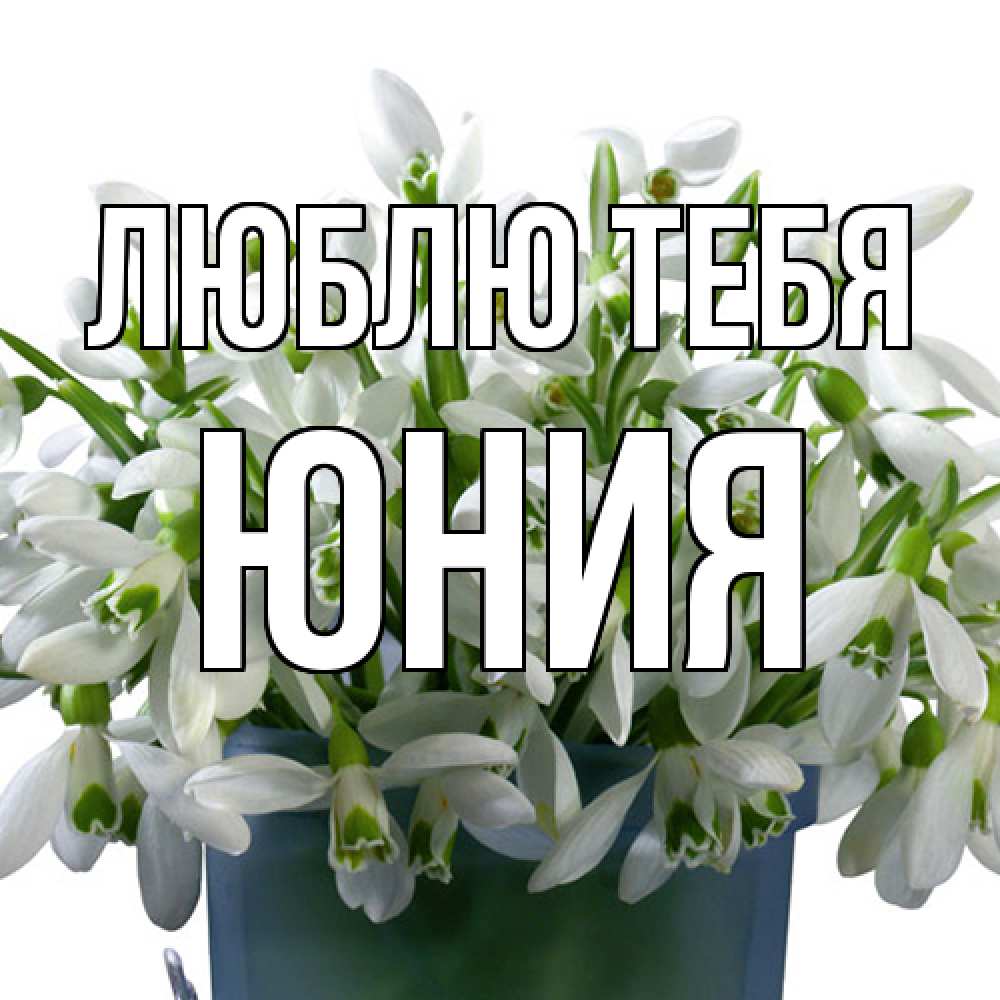 Открытка на каждый день с именем, Юния Люблю тебя цветы к международному женскому дню Прикольная открытка с пожеланием онлайн скачать бесплатно 