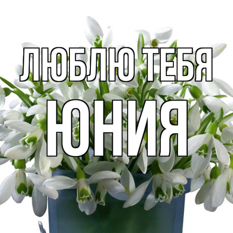 Картинка Люблю тебя, Юния