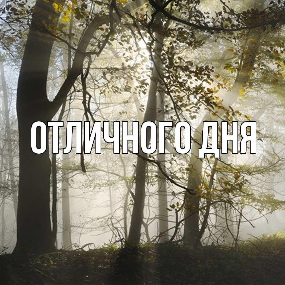 Открытка на каждый день с именем, Леся Скучашки грустно Прикольная открытка с пожеланием онлайн скачать бесплатно 