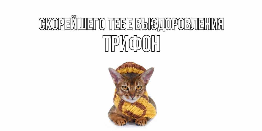 Открытка на каждый день с именем, Трифон Скорейшего тебе выздоровления родные не болейте Прикольная открытка с пожеланием онлайн скачать бесплатно 