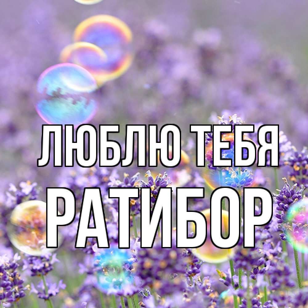 Открытка на каждый день с именем, Ратибор Люблю тебя цветы Прикольная открытка с пожеланием онлайн скачать бесплатно 