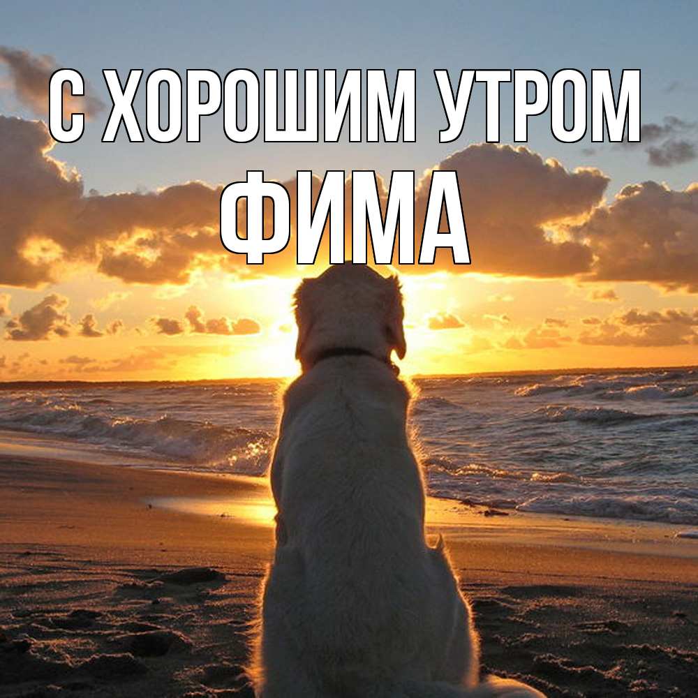 Открытка на каждый день с именем, Фима С хорошим утром восход солнца Прикольная открытка с пожеланием онлайн скачать бесплатно 