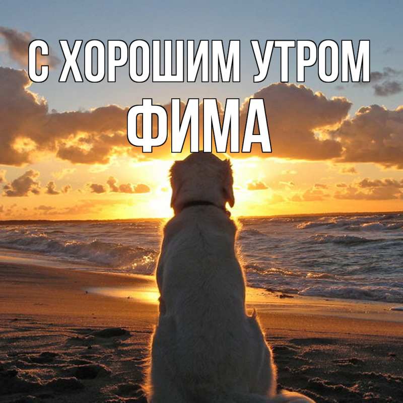 Картинка С хорошим утром, Фима
