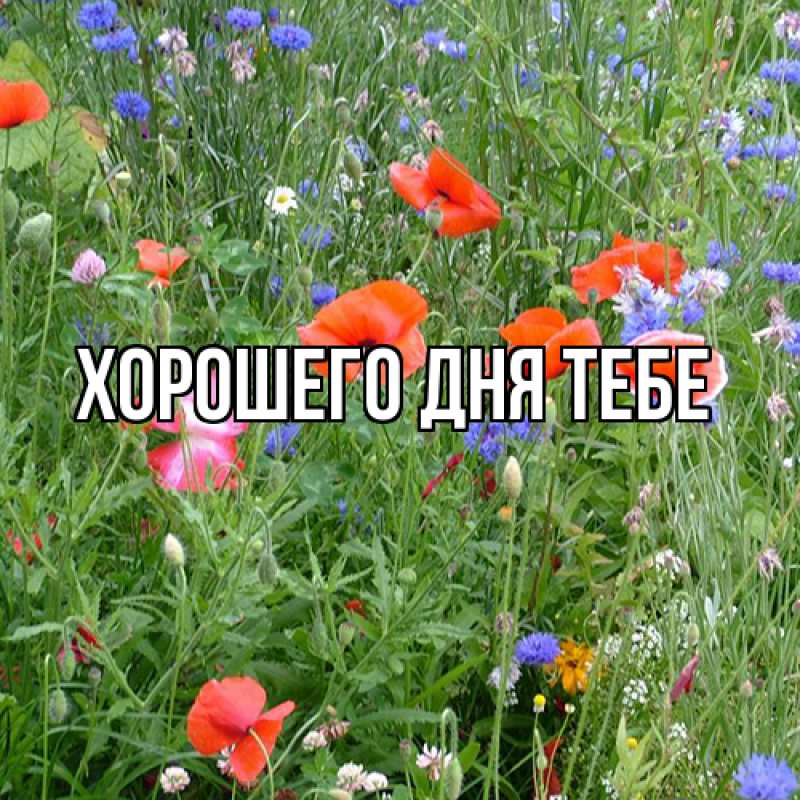 Картинка Люблю тебя, Измаил