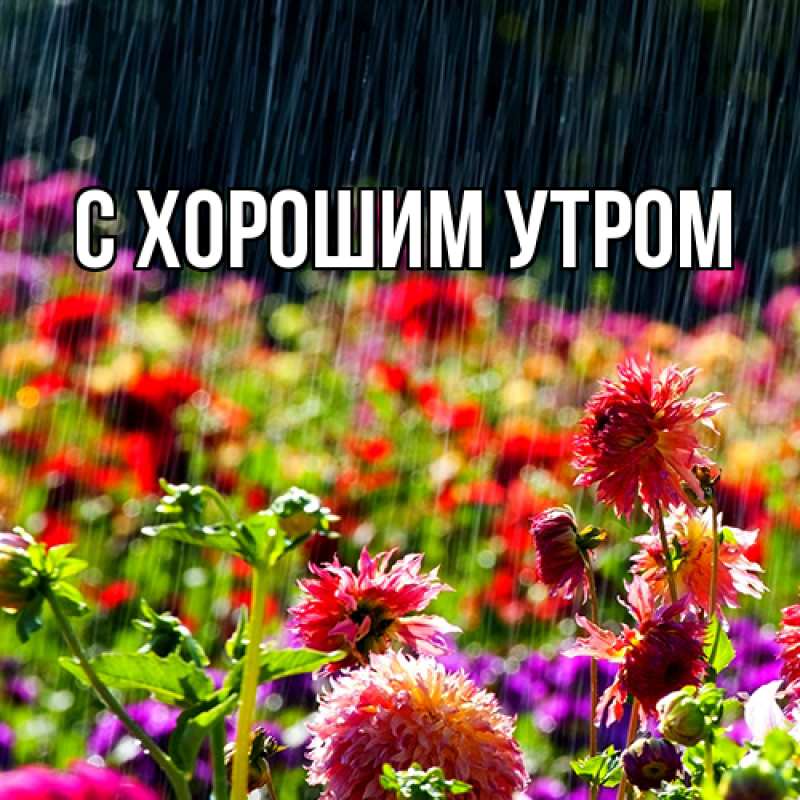 Картинка Люблю тебя, Иван