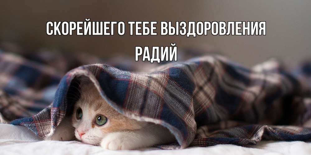 Открытка на каждый день с именем, Радий Скорейшего тебе выздоровления не болейте с котиком Прикольная открытка с пожеланием онлайн скачать бесплатно 