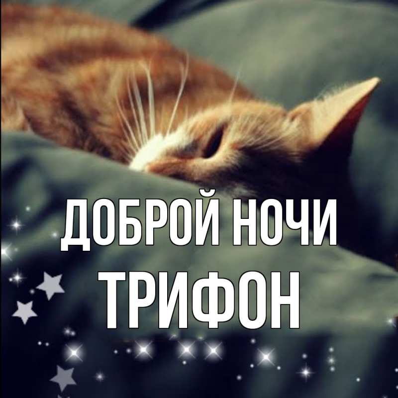 Картинка Доброй ночи, Трифон