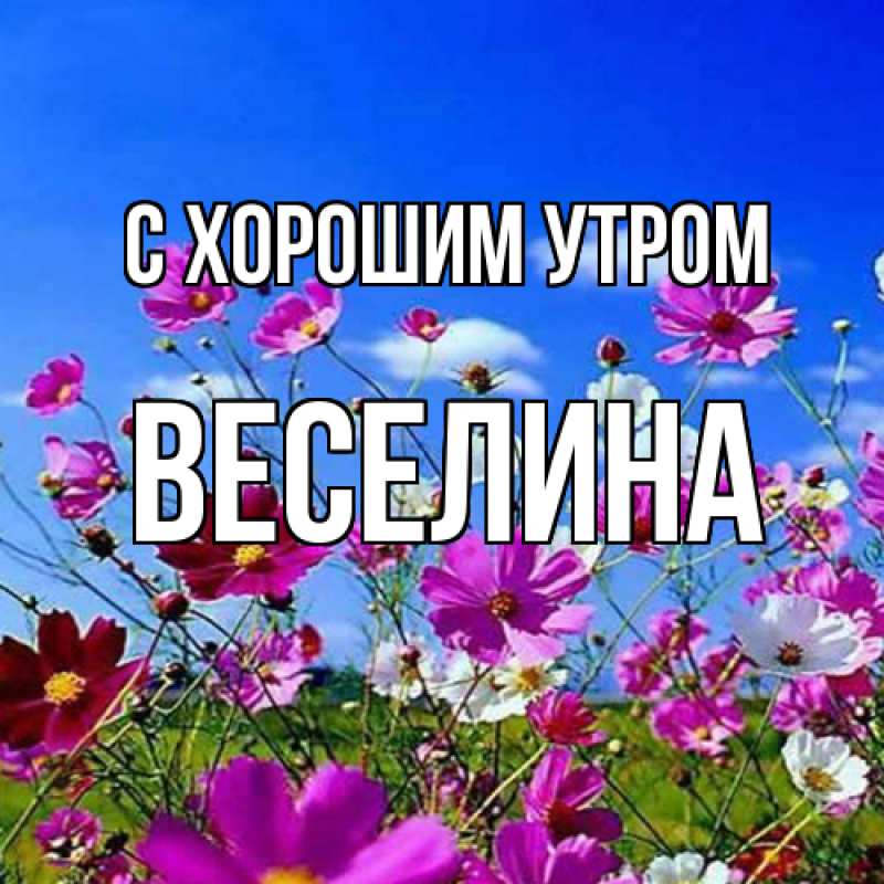 Открытка с именем, Веселина, С хорошим утром