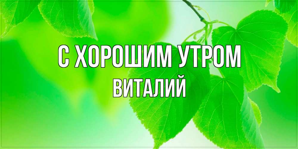Открытка на каждый день с именем, Виталий С хорошим утром доброе утро с березовыми листьями Прикольная открытка с пожеланием онлайн скачать бесплатно 