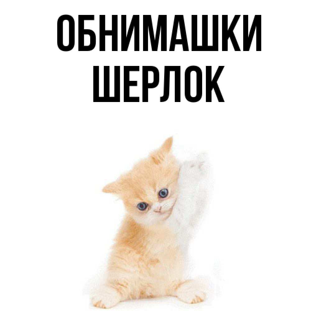 Открытка на каждый день с именем, Шерлок Обнимашки я хочу очень скорее обнимаешек Прикольная открытка с пожеланием онлайн скачать бесплатно 
