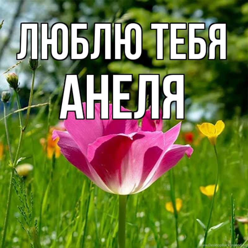 Картинка Люблю тебя, Анеля