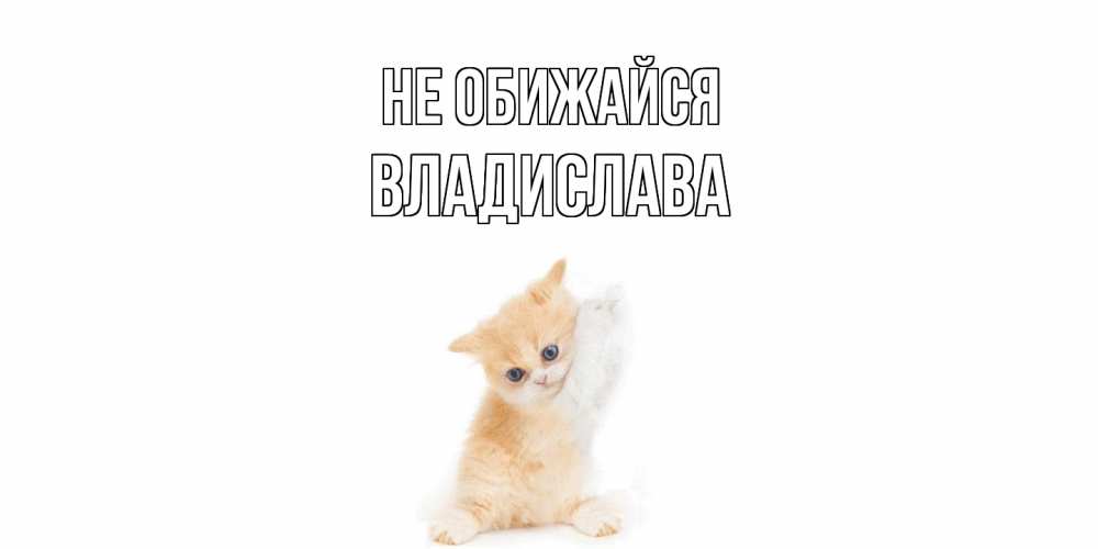 Открытка на каждый день с именем, Владислава Не обижайся кот Прикольная открытка с пожеланием онлайн скачать бесплатно 