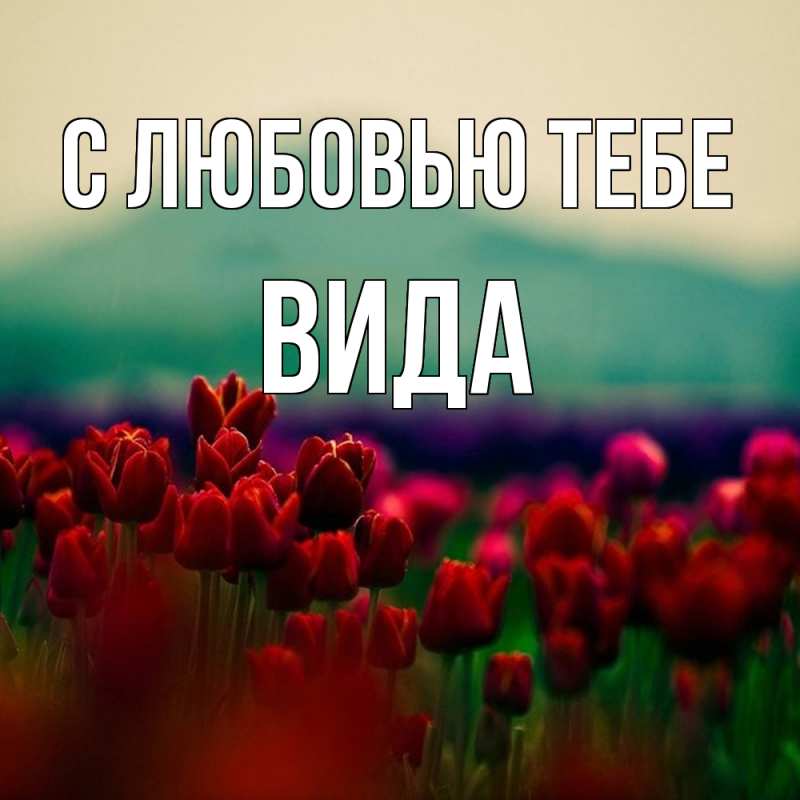 Открытка с именем, Вида, С любовью тебе
