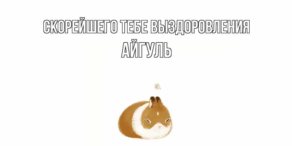 Открытка на каждый день с именем, Айгуль Скорейшего тебе выздоровления морская свинка на открытке с пожеланиями не болеть Прикольная открытка с пожеланием онлайн скачать бесплатно 