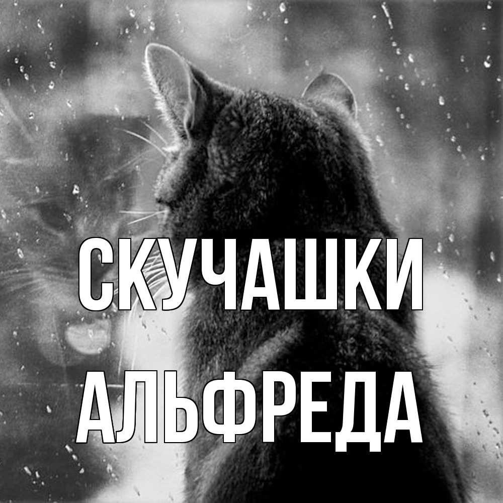 Открытка на каждый день с именем, Альфреда Скучашки скорее ко мне приходи 1 Прикольная открытка с пожеланием онлайн скачать бесплатно 