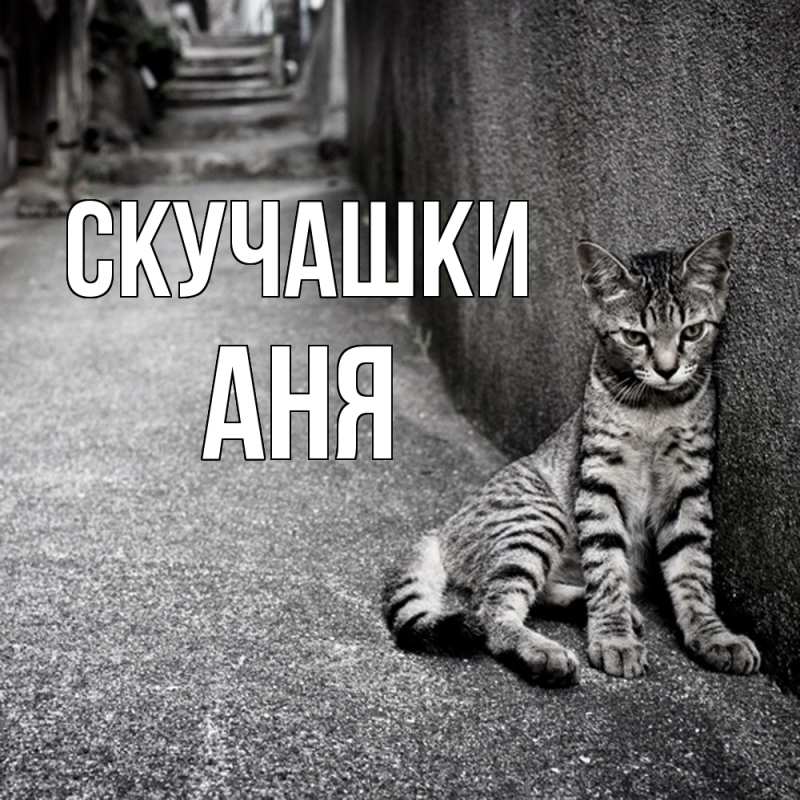 Картинка Скучашки, Аня
