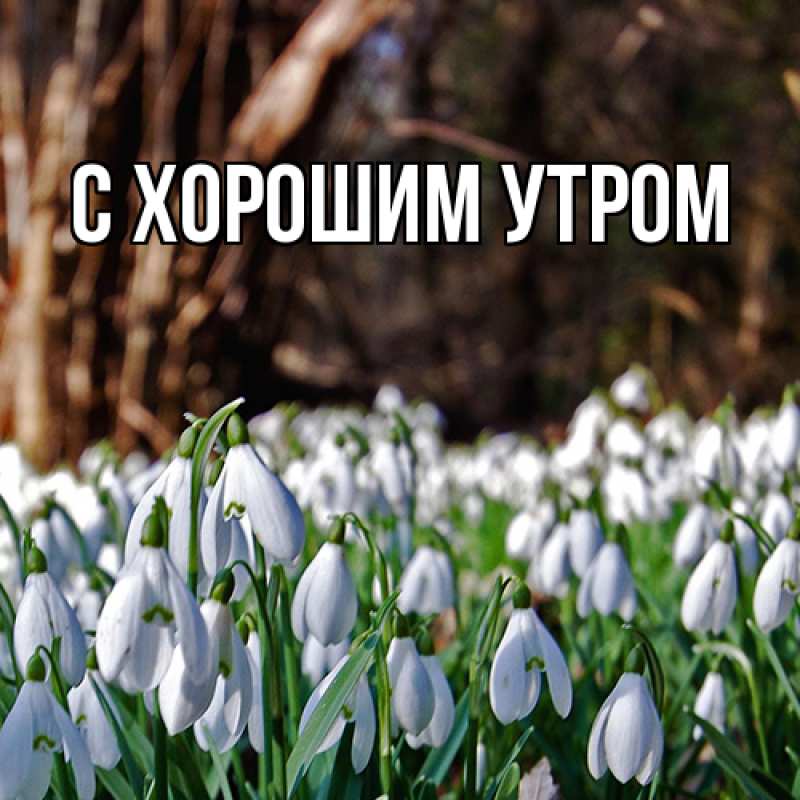 Картинка Люблю тебя, Лёня