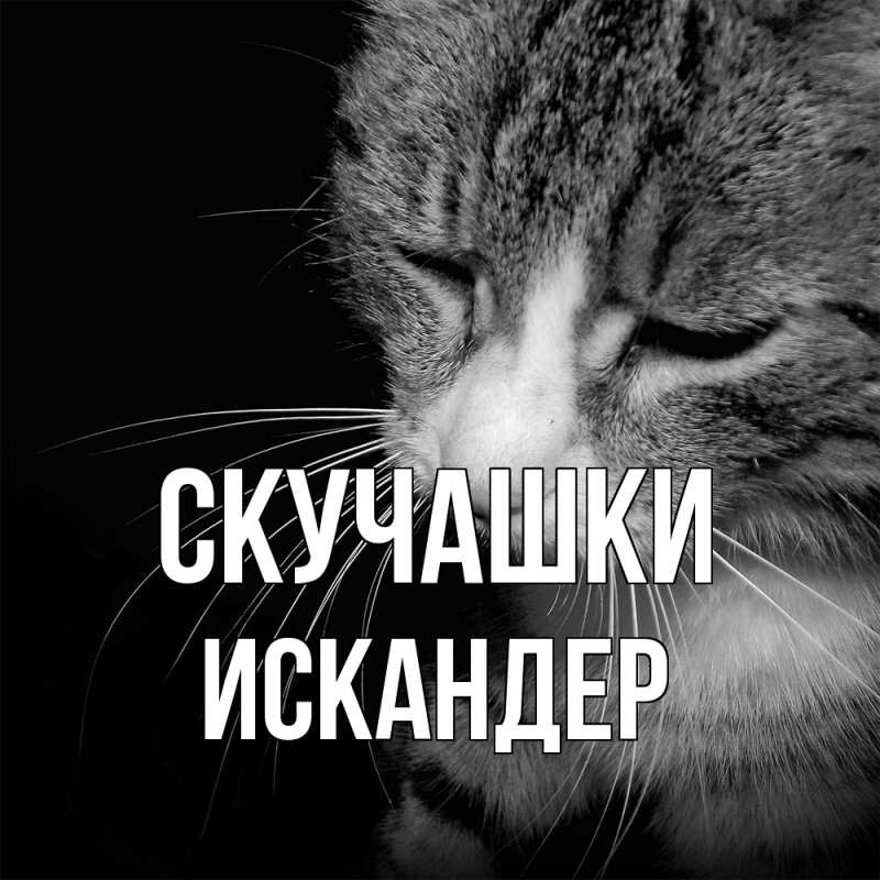 Открытка с именем, Искандер, Скучашки