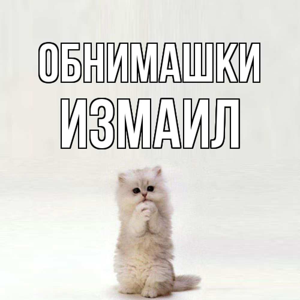 Открытка на каждый день с именем, Измаил Обнимашки открытки с креативными подписями Прикольная открытка с пожеланием онлайн скачать бесплатно 